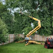 Best Sod Installation  in Flora, IN