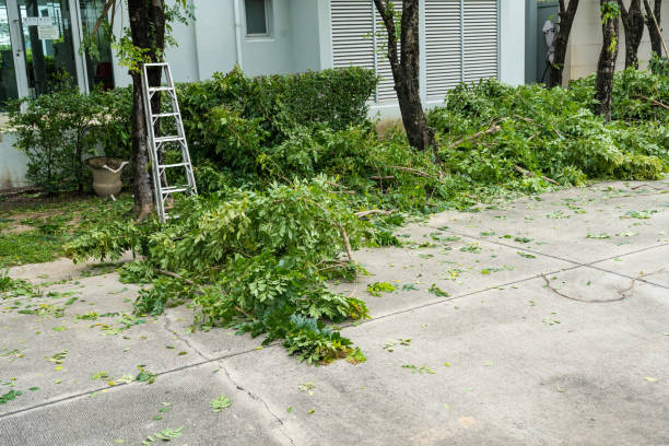 Best Storm Damage Tree Cleanup  in Flora, IN